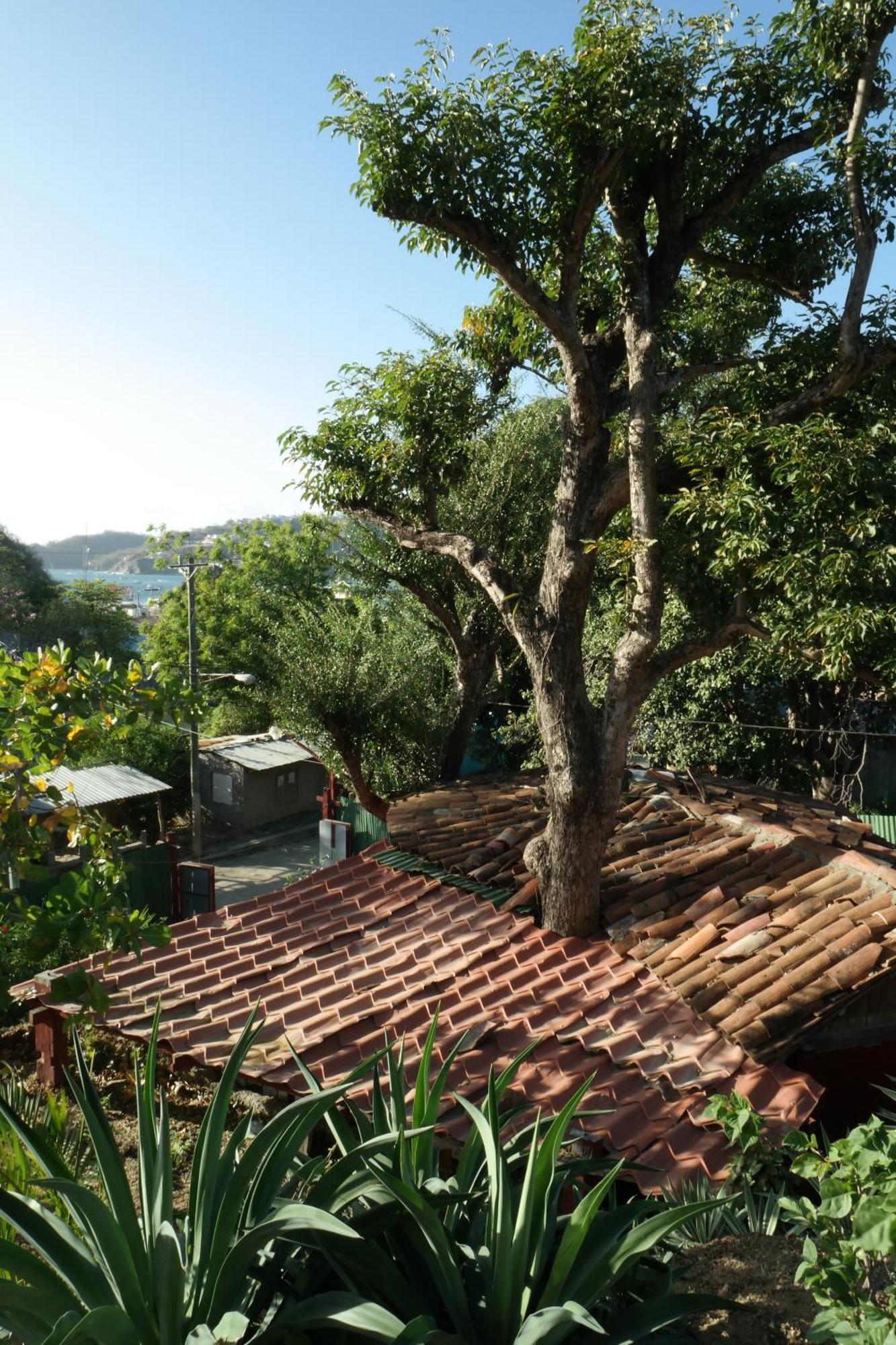 1 Bedroom Cabin, 3 Blocks From Beach And Center Of San Juan ซานฮวนเดลซูร์ ภายนอก รูปภาพ